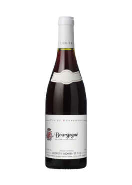 Domaine Georges Lignier et Fils Bourgogne Rouge 2022