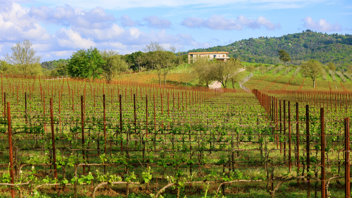 La Faretra