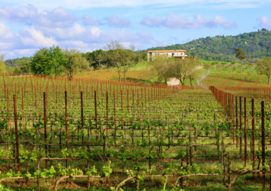 La Faretra